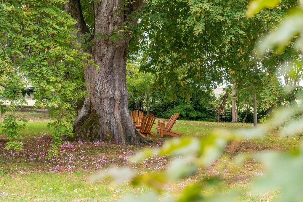 Le Domaine De Mestre, The Originals Relais Fontevraud L'Abbaye Bagian luar foto